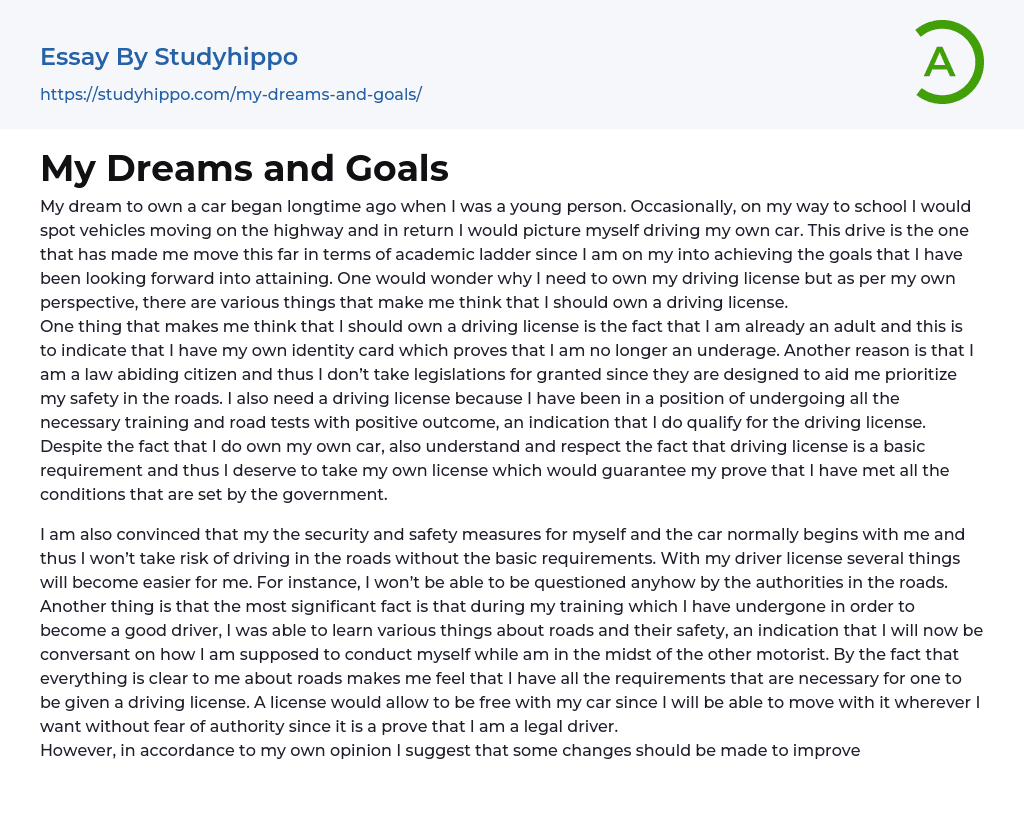 My Dreams and Goals Essay Example