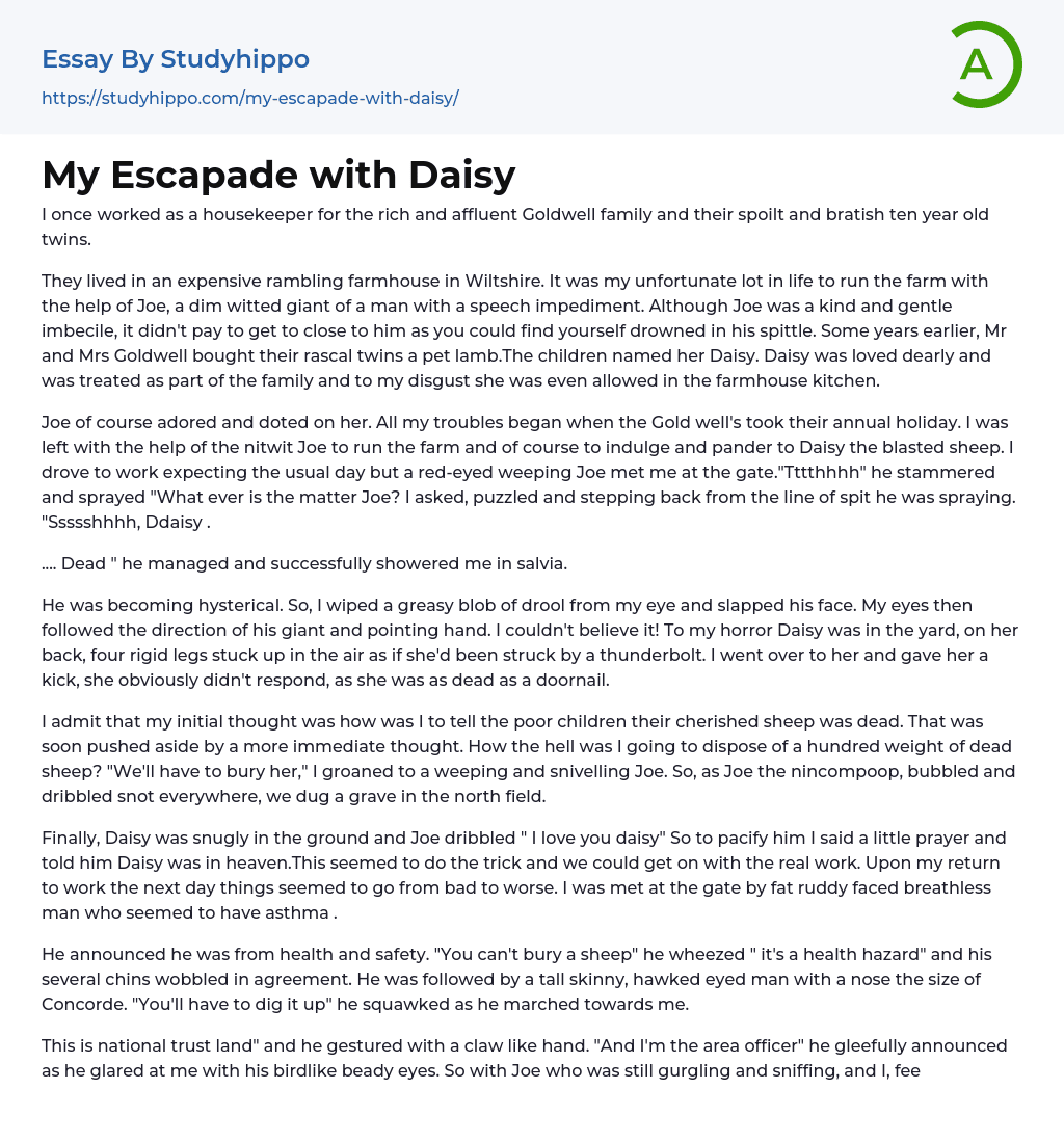 My Escapade with Daisy Essay Example