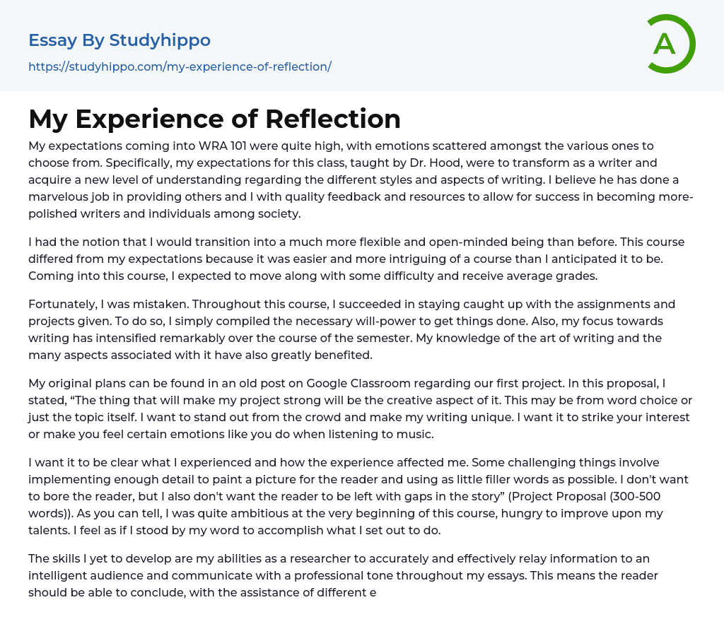 My Experience of Reflection Essay Example