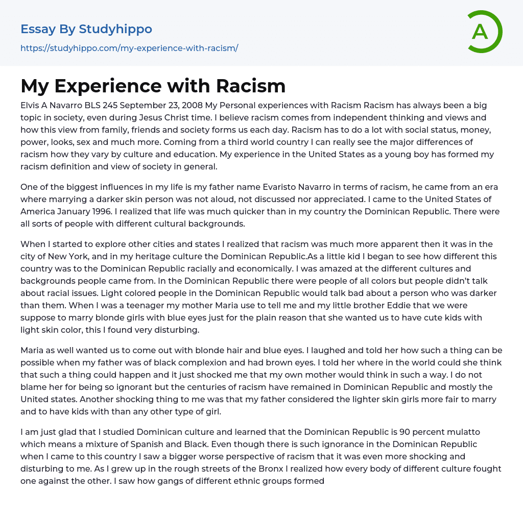My Personal Experiences with Racism Essay Example