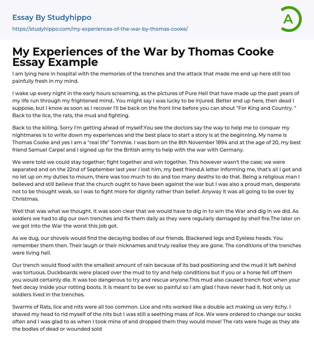 My Experiences of the War by Thomas Cooke Essay Example