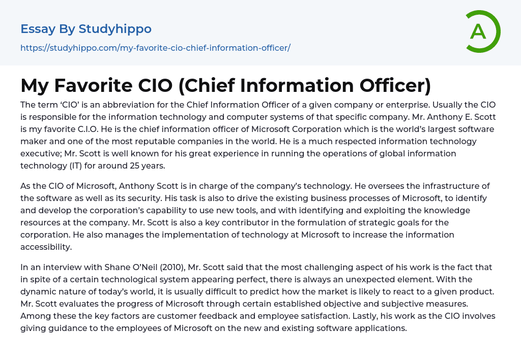 My Favorite CIO (Chief Information Officer) Essay Example