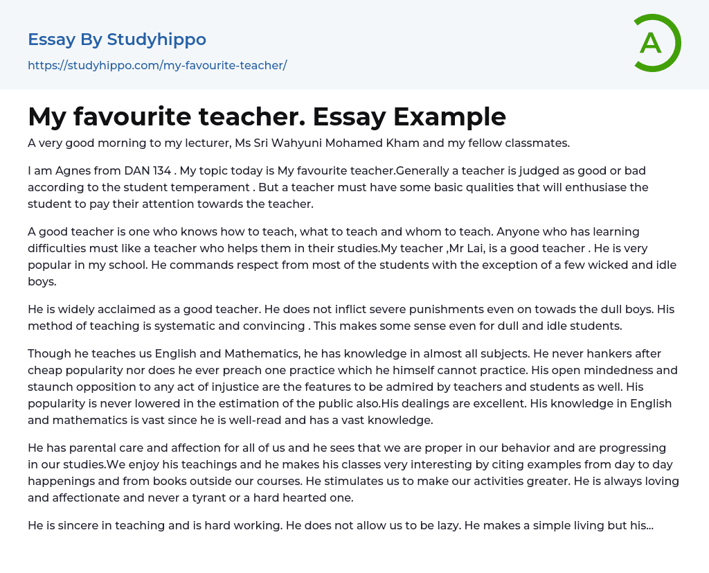 My favourite teacher. Essay Example