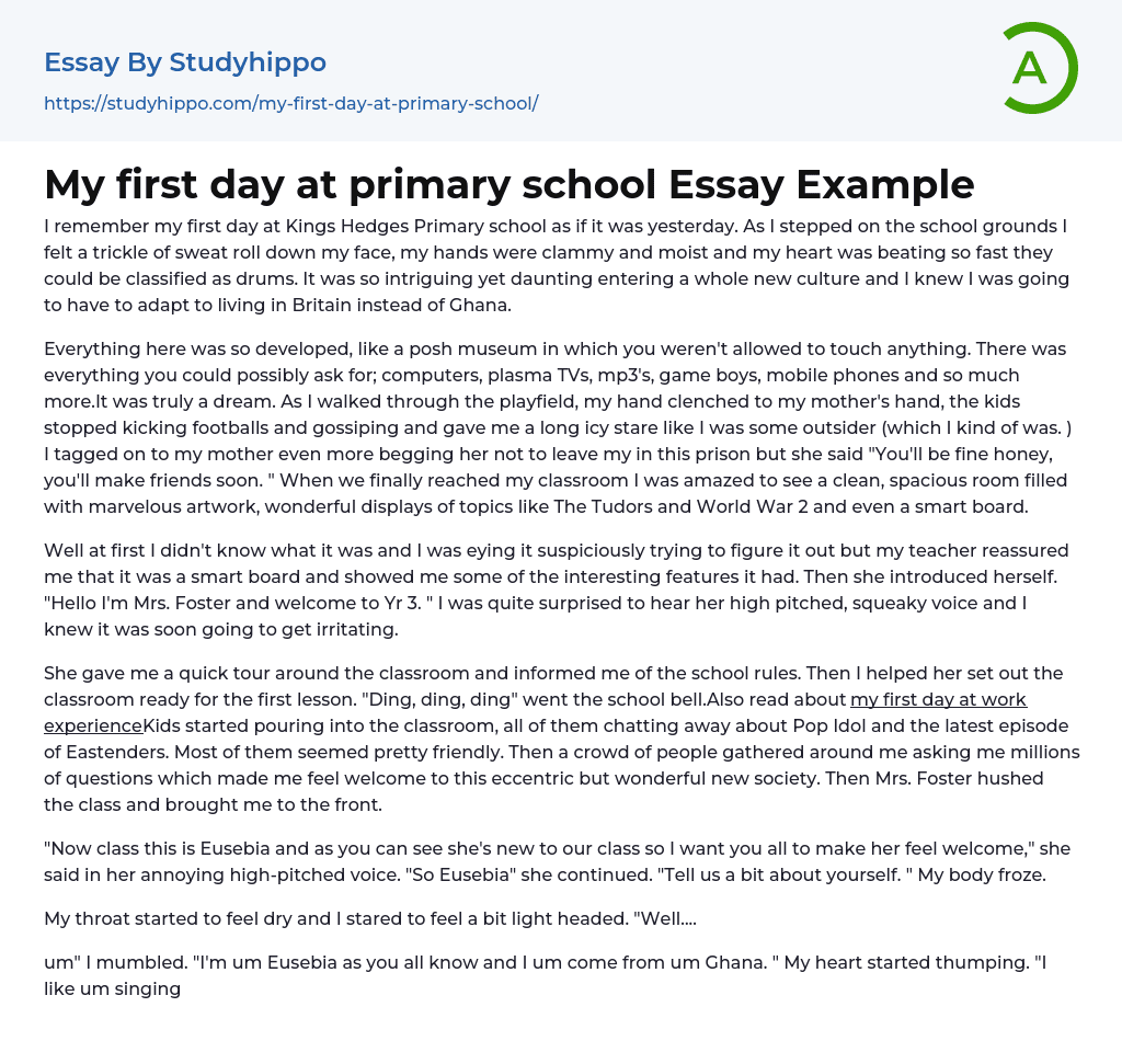 my experience in primary school essay