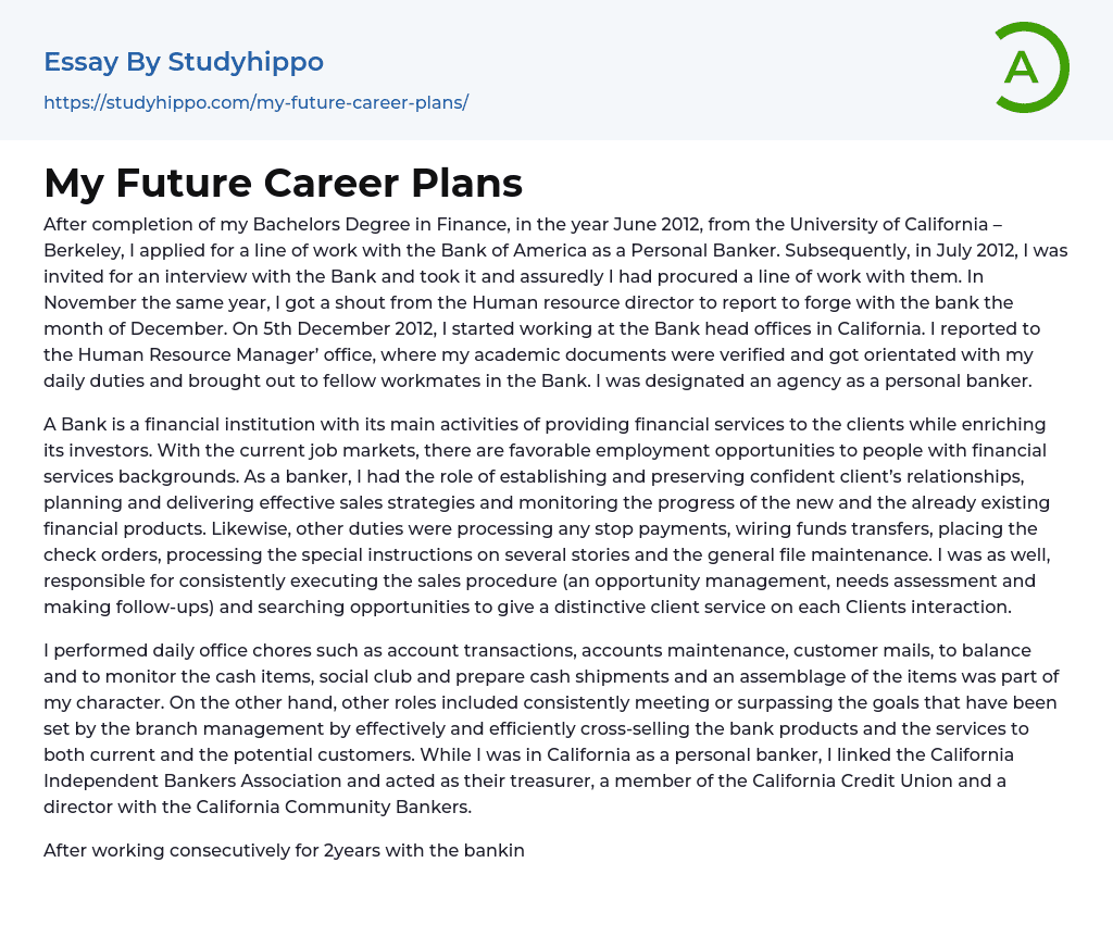 future career plan essay