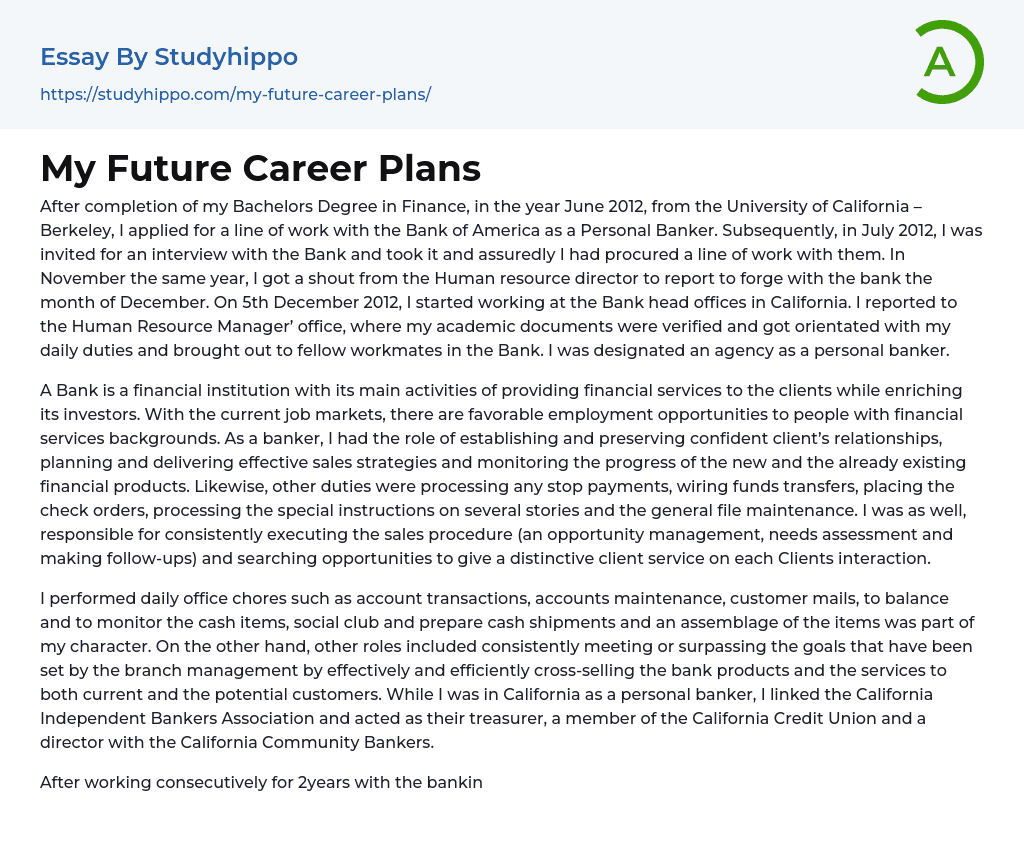 My Future Career Plans Essay Example StudyHippo