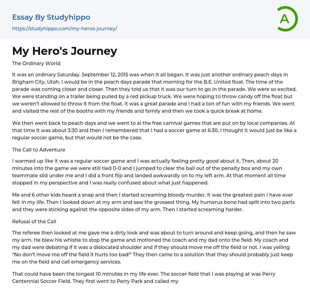 essay hero's journey short story examples