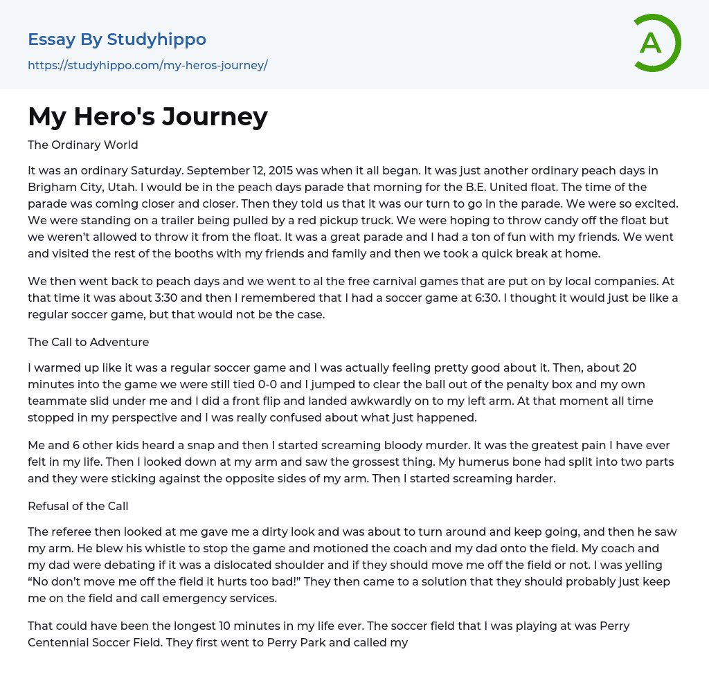 My Hero s Journey Essay Example StudyHippo