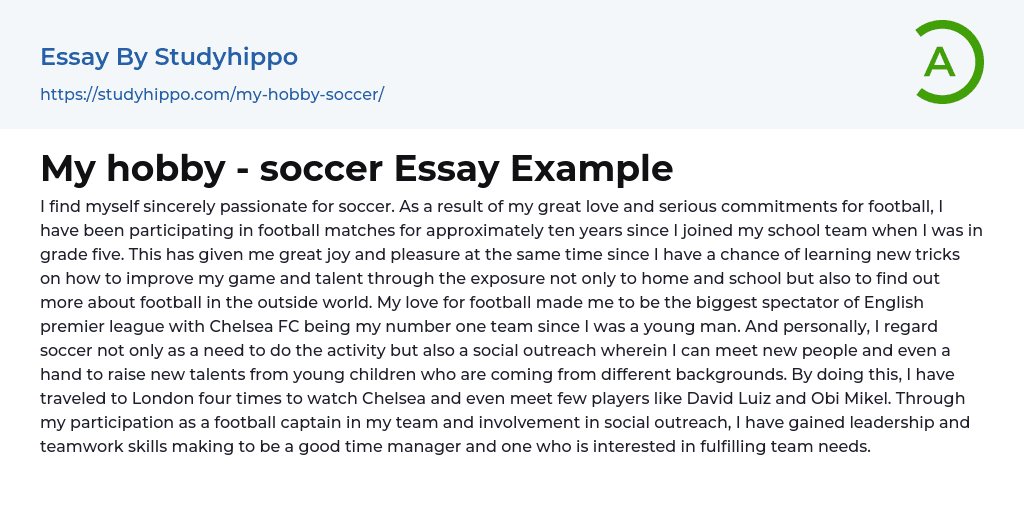 My hobby – soccer Essay Example