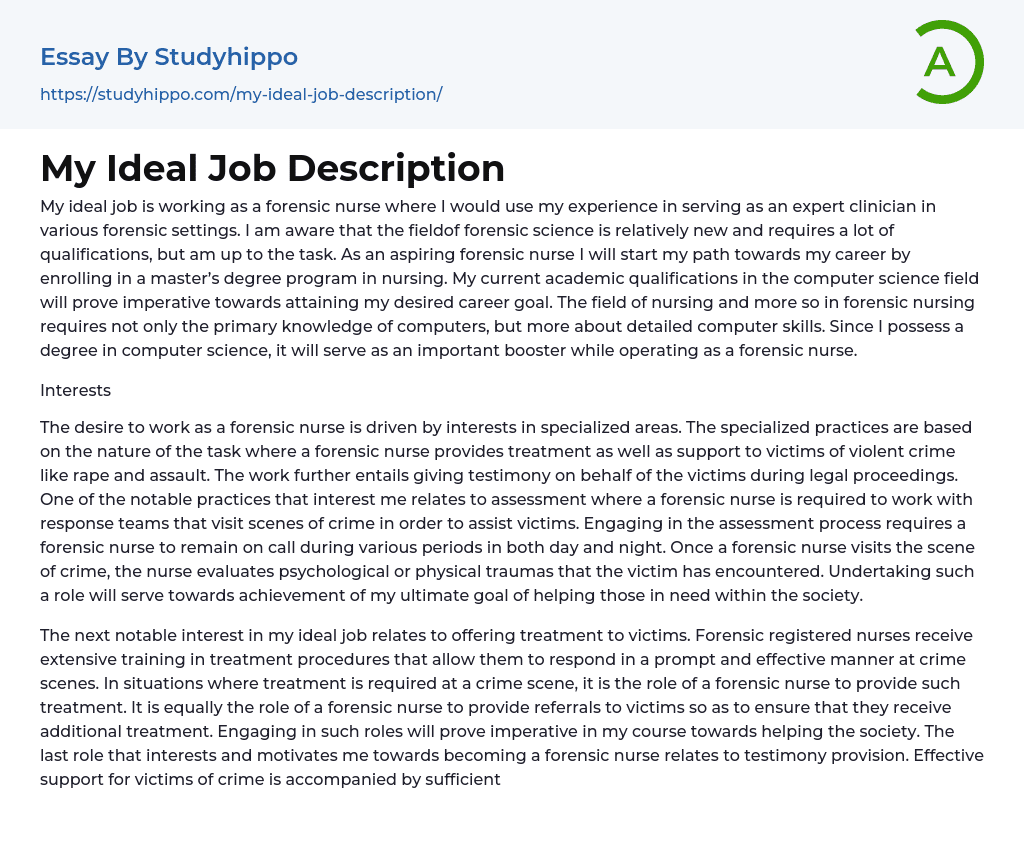 ideal job essay