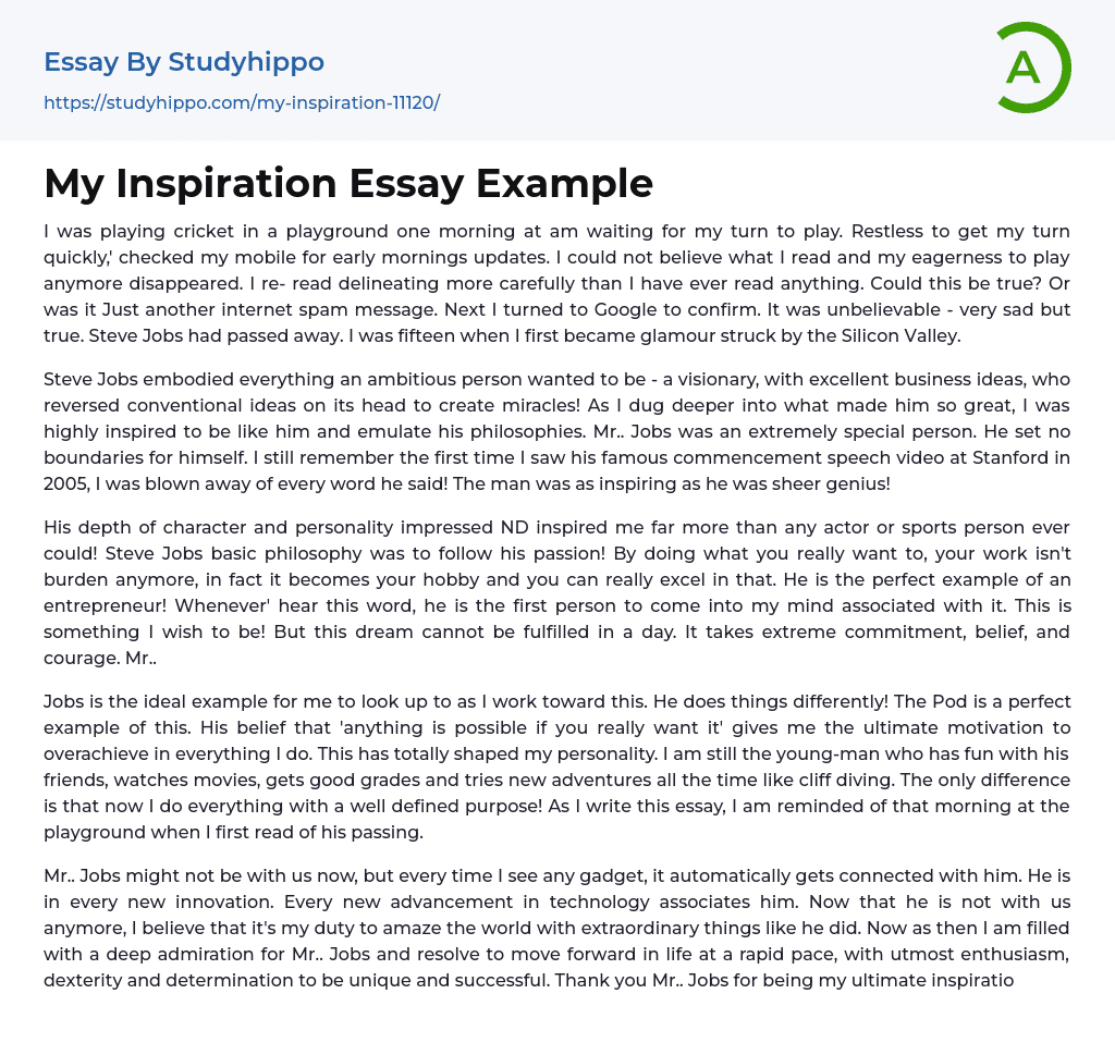 My Inspiration Essay Example