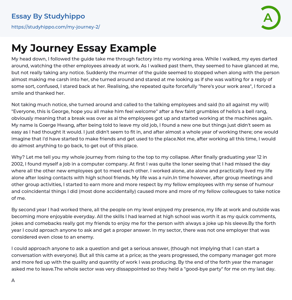 My Journey Essay Example