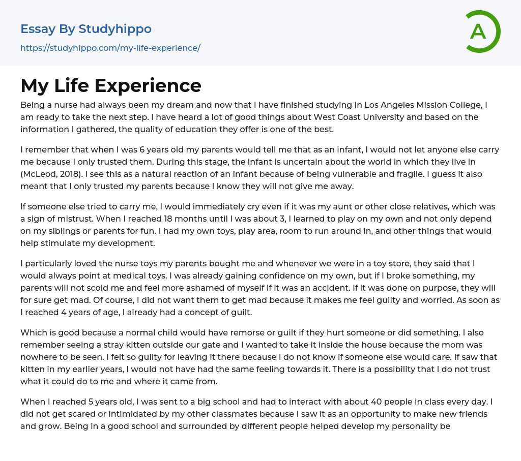 life experience essay outline