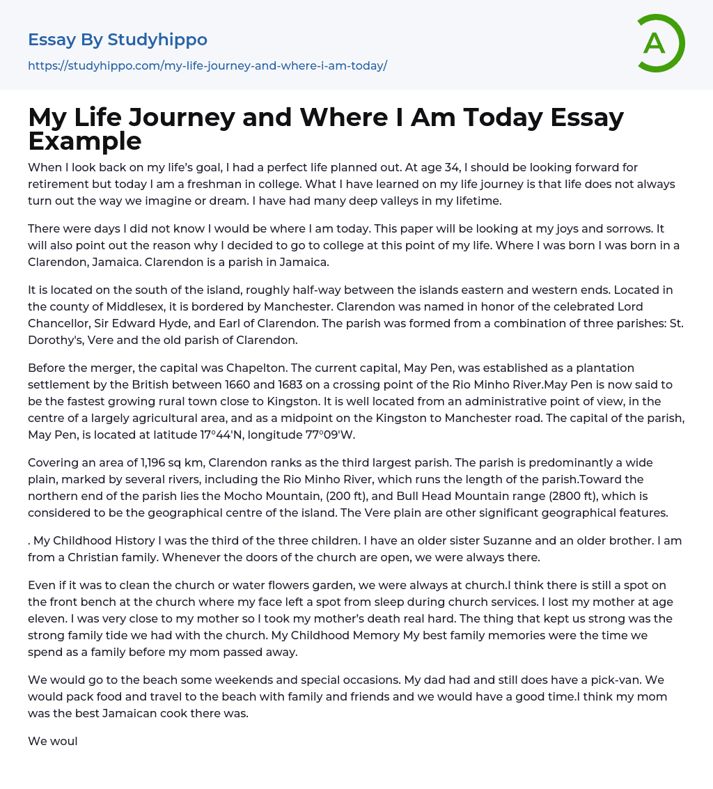 My Life Journey and Where I Am Today Essay Example