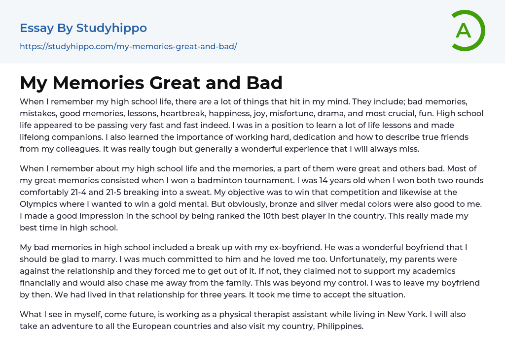 My Memories Great and Bad Essay Example