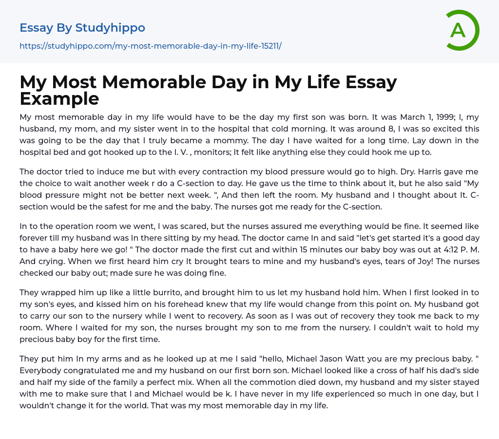 My Most Memorable Day In My Life Essay Example StudyHippo