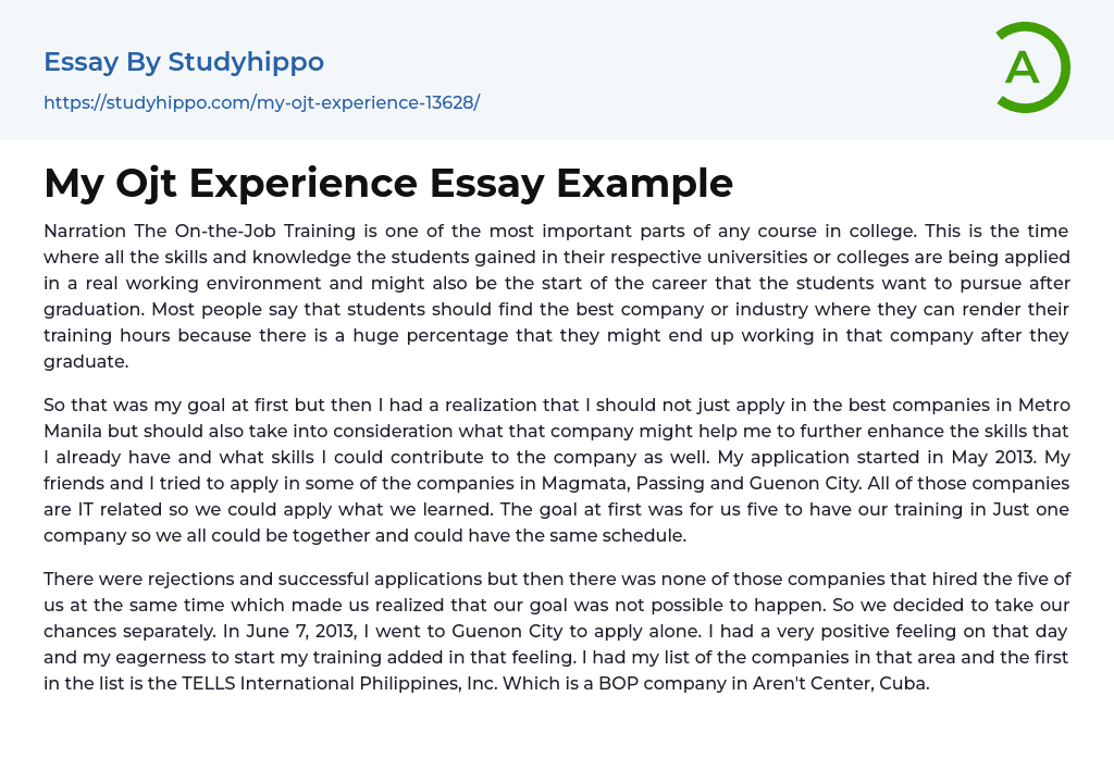 My Ojt Experience Essay Example