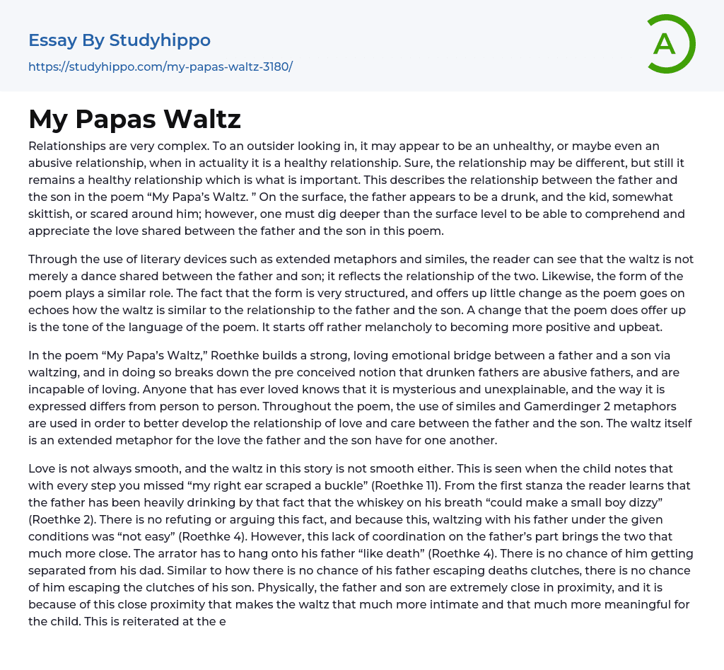 My Papas Waltz Essay Example