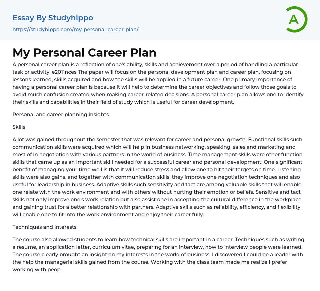My Personal Career Plan Essay Example