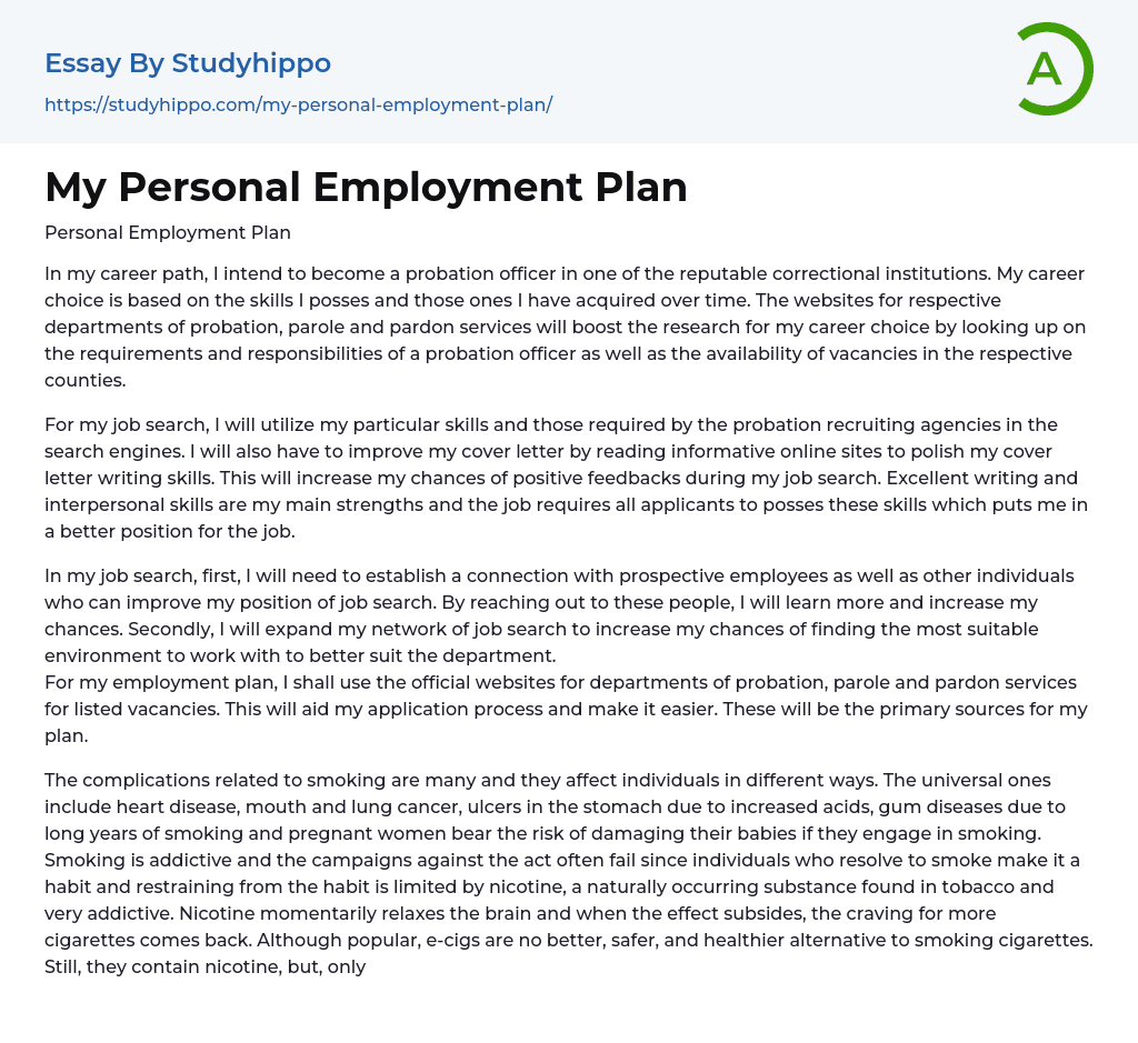 My Personal Employment Plan Essay Example