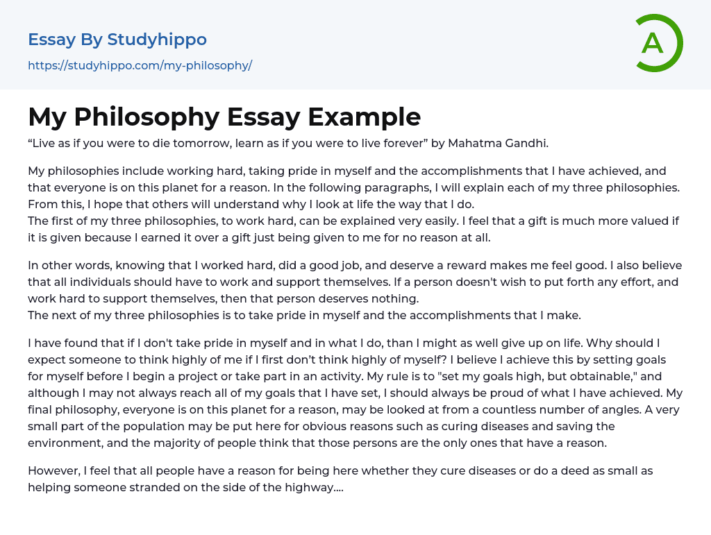 My Philosophy Essay Example
