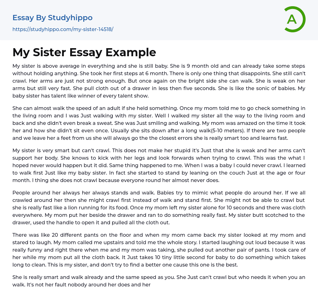 college essay about my sister