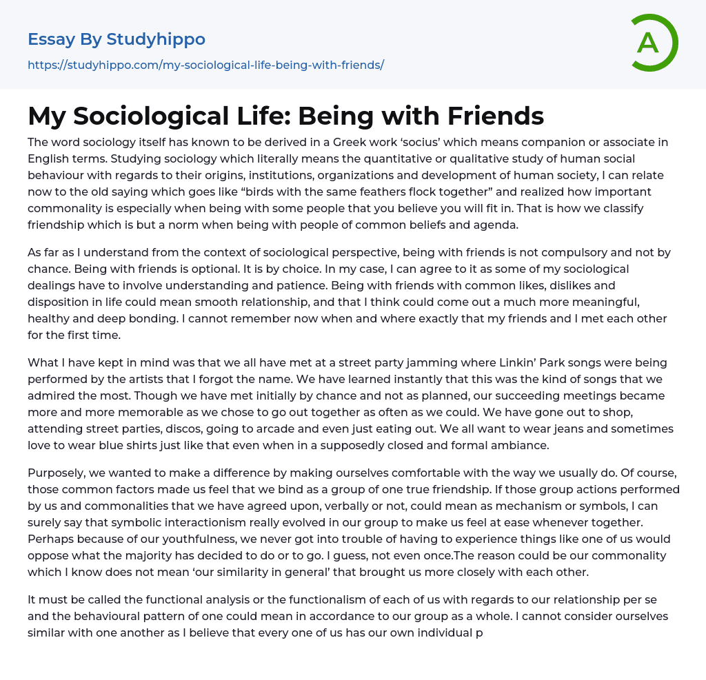 My Sociological Life: Being with Friends Essay Example