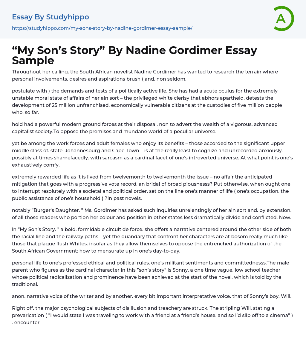 “My Son’s Story” By Nadine Gordimer Essay Sample