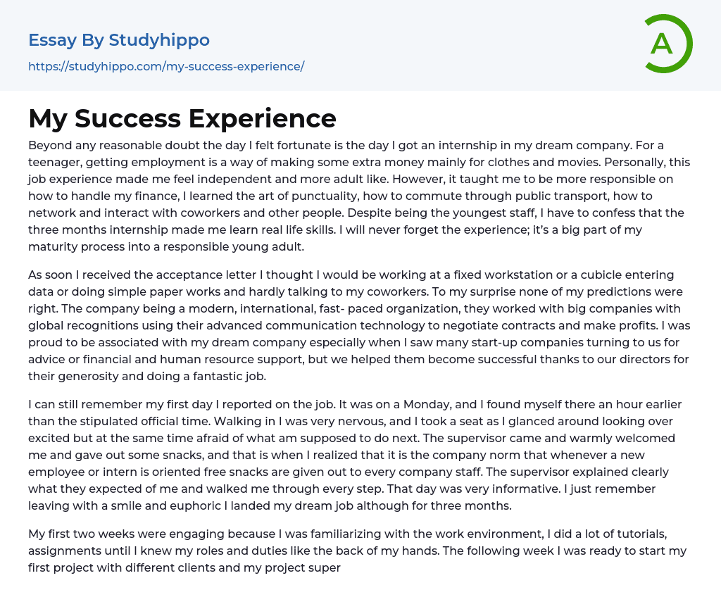 My Success Experience Essay Example