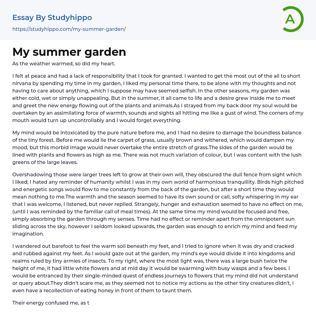 My summer garden Essay Example
