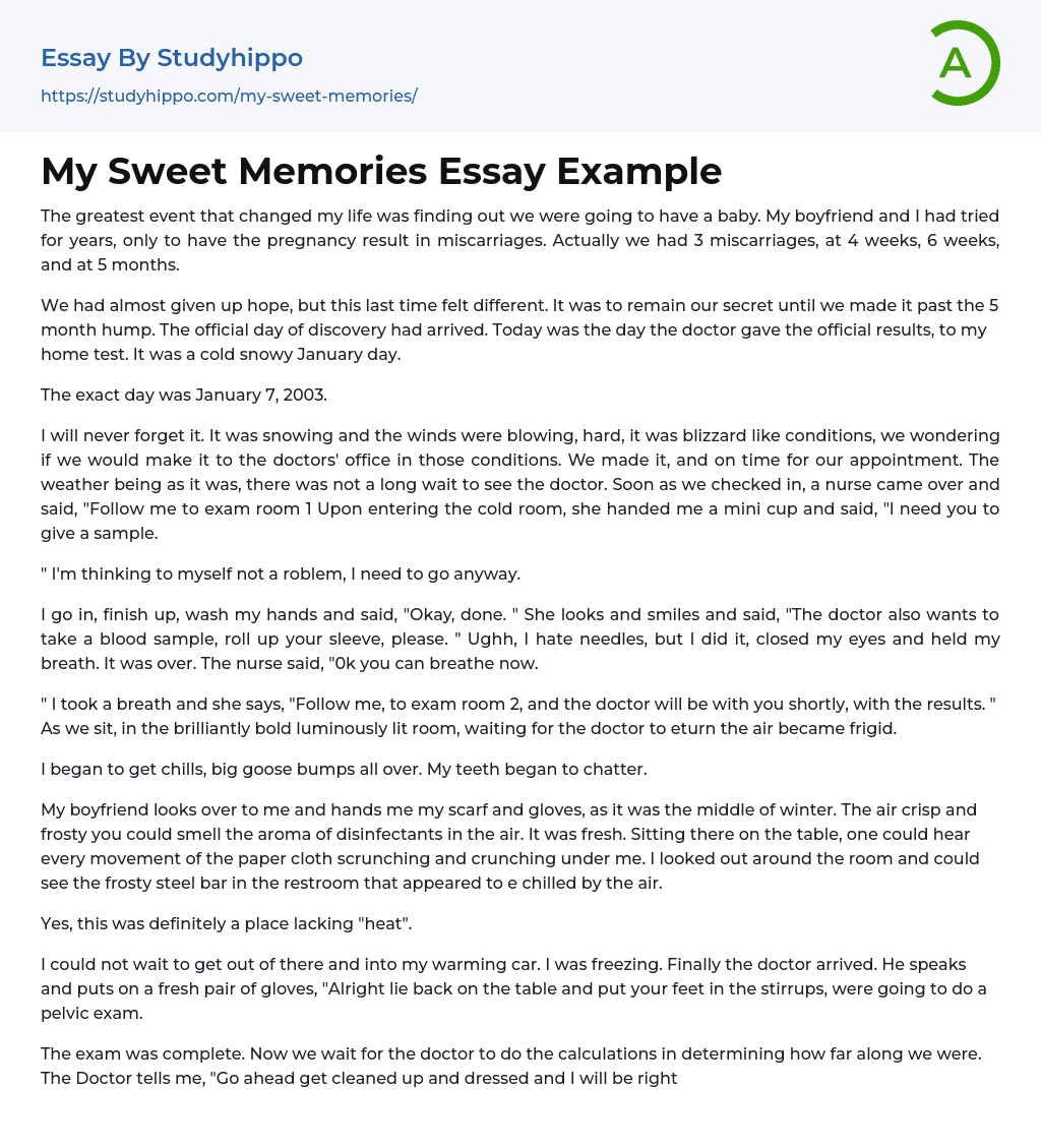 My Sweet Memories Essay Example