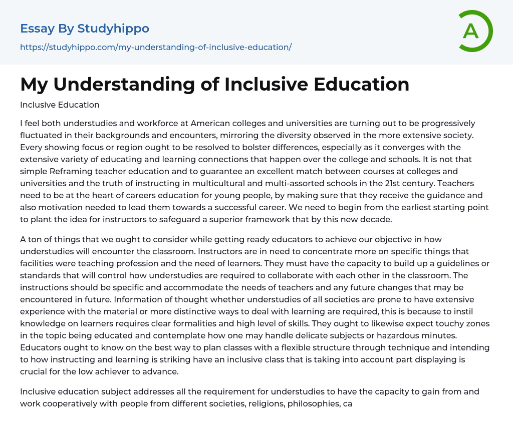 My Understanding of Inclusive Education Essay Example