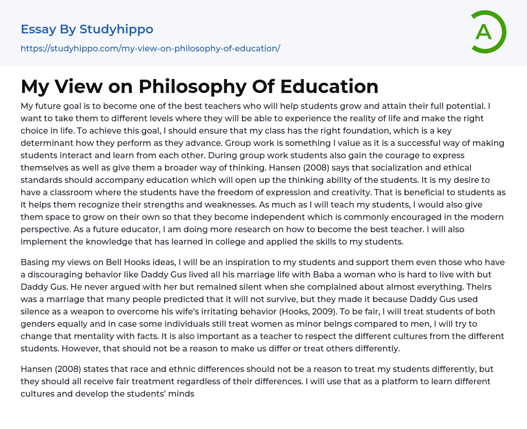 My View on Philosophy Of Education Essay Example