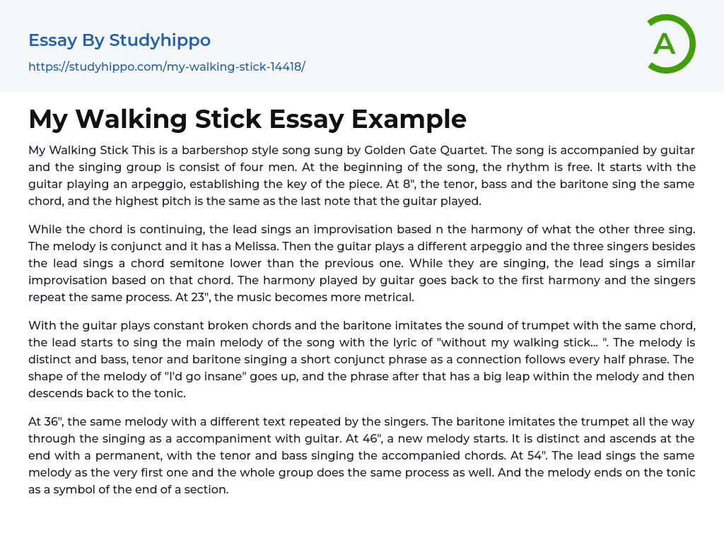 My Walking Stick Essay Example