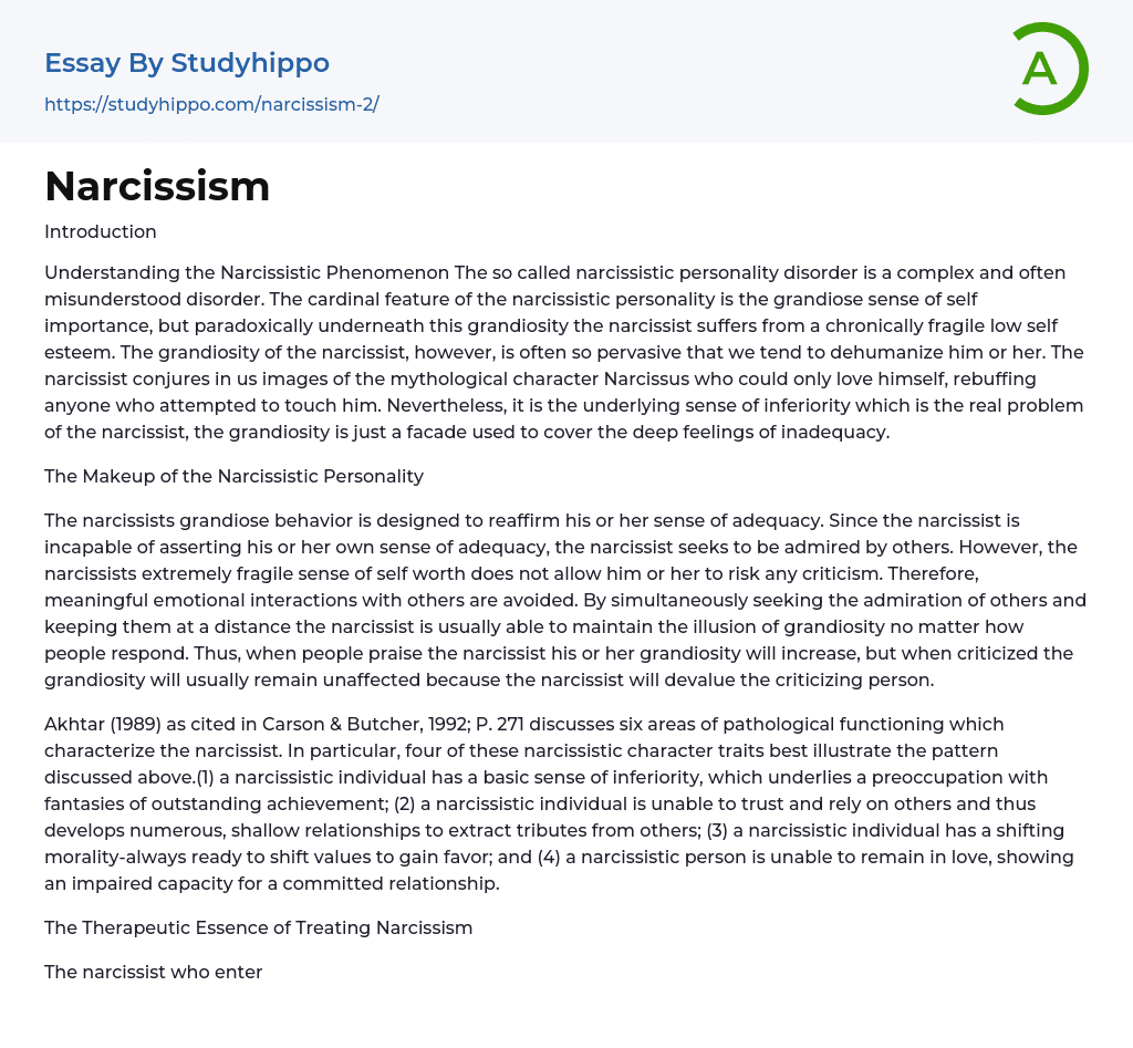 Narcissism Essay Example