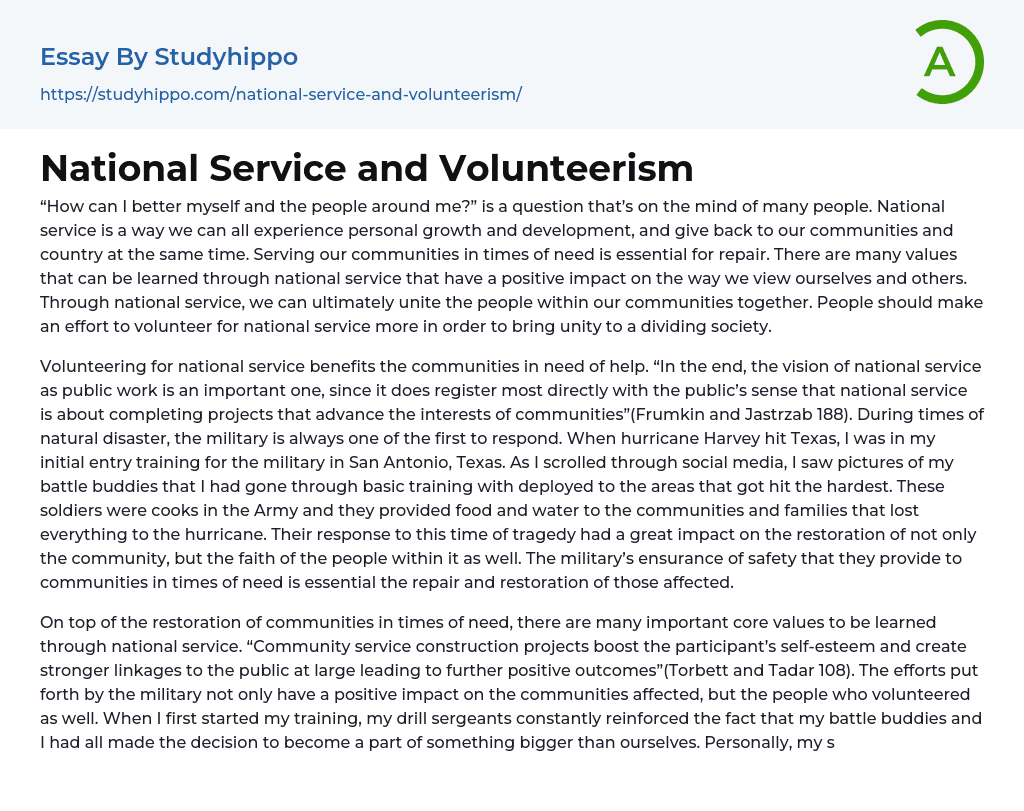 National Service and Volunteerism Essay Example