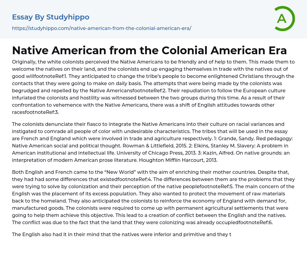 Native American from the Colonial American Era Essay Example