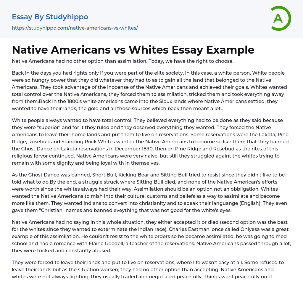 Native Americans vs Whites Essay Example