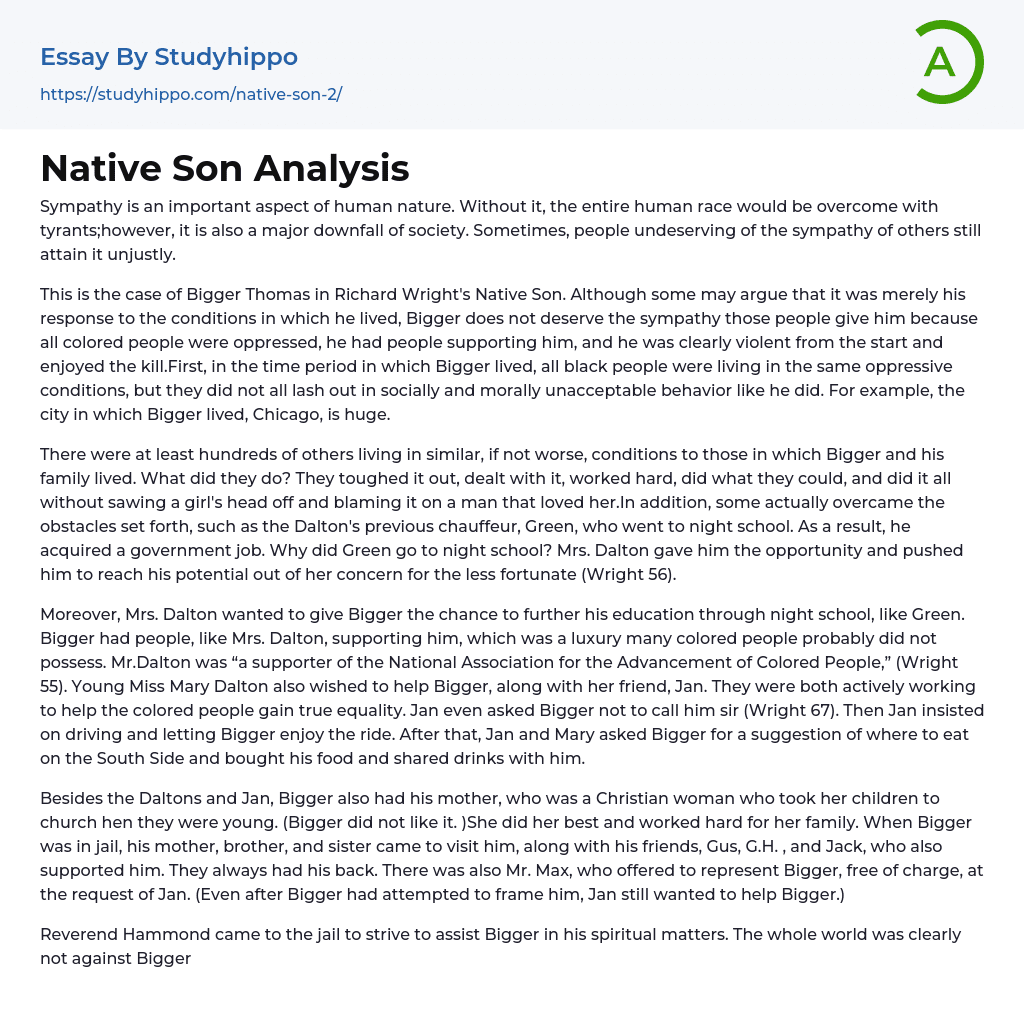 Native Son Analysis Essay Example