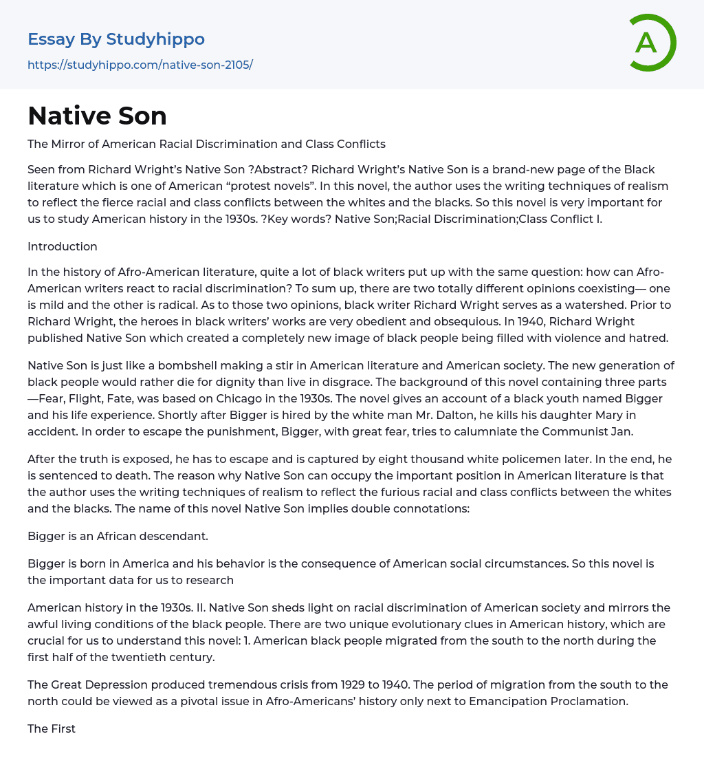 Native Son Essay Example