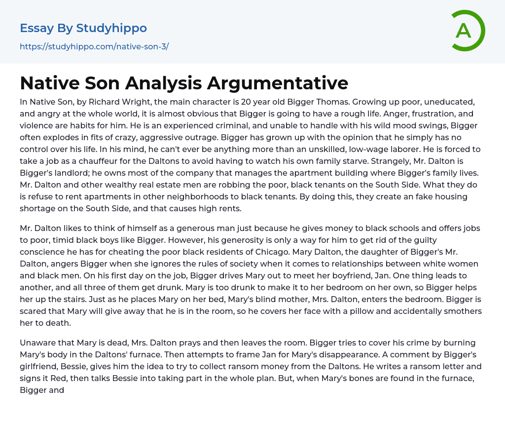 Native Son Analysis Argumentative Essay Example