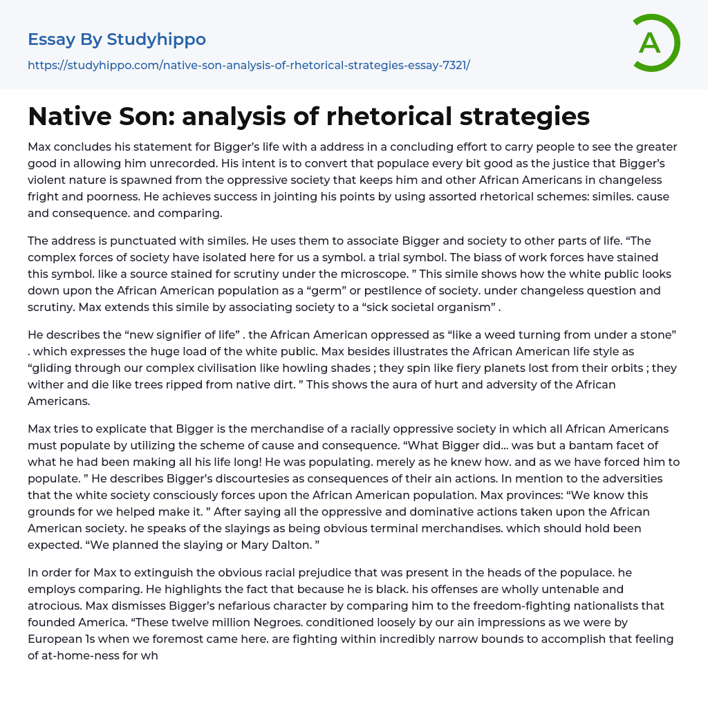Native Son: analysis of rhetorical strategies Essay Example