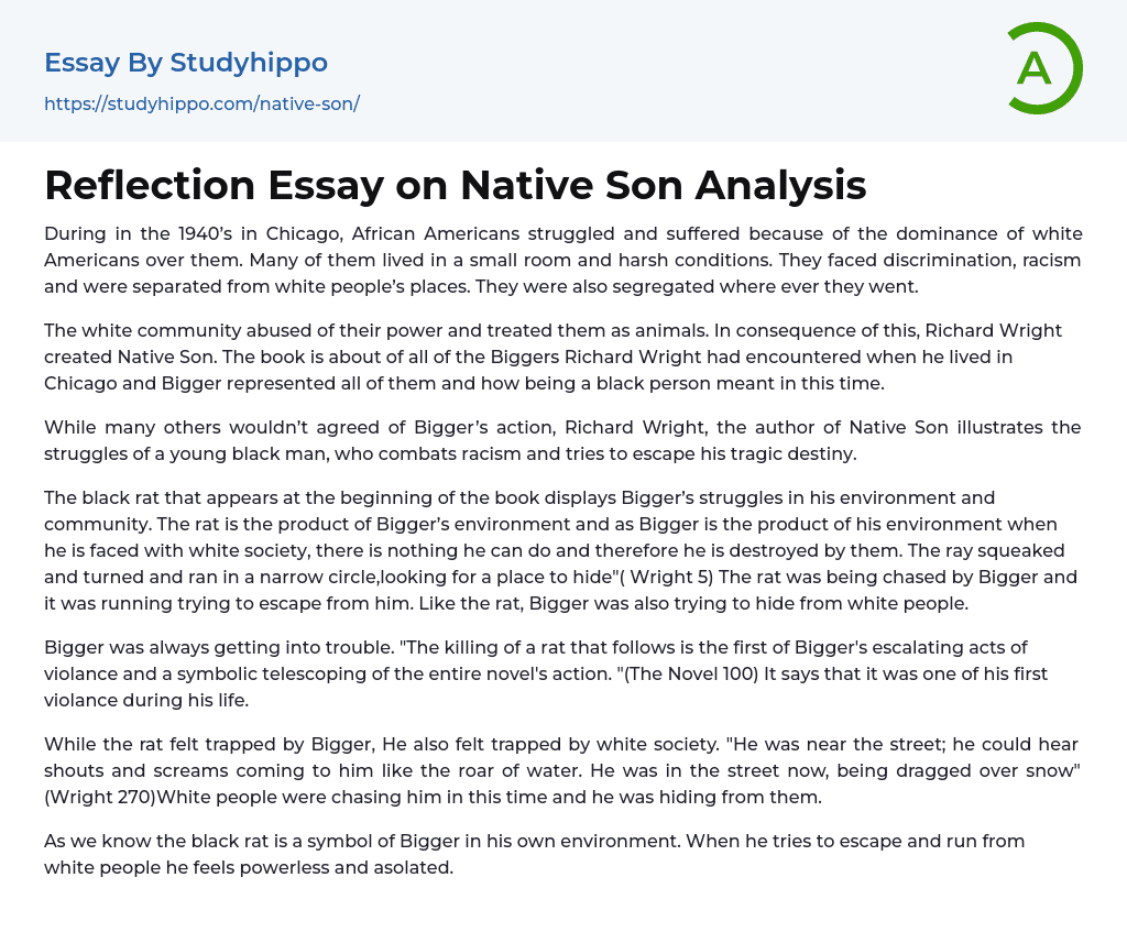 Reflection Essay on Native Son Analysis