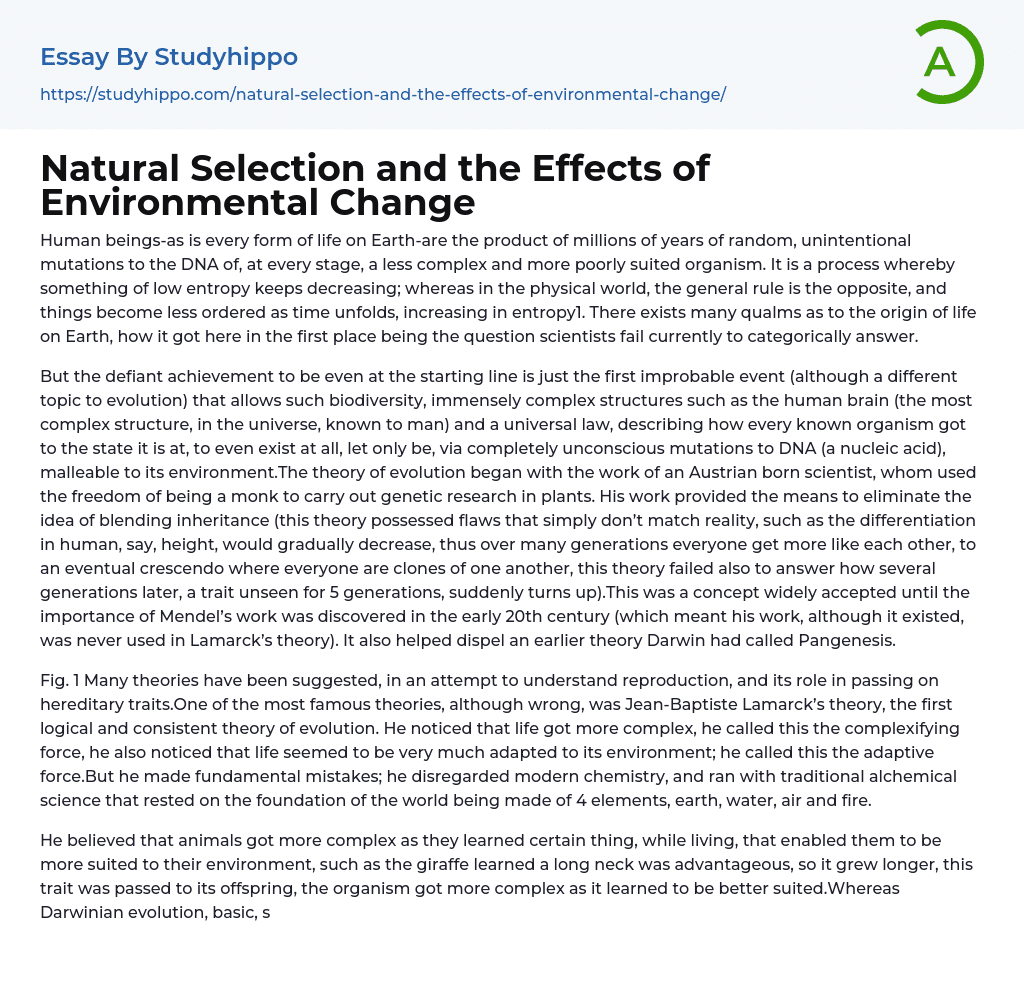 Natural Selection and the Effects of Environmental Change Essay Example