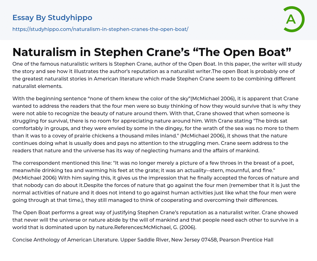the open boat symbolism essay