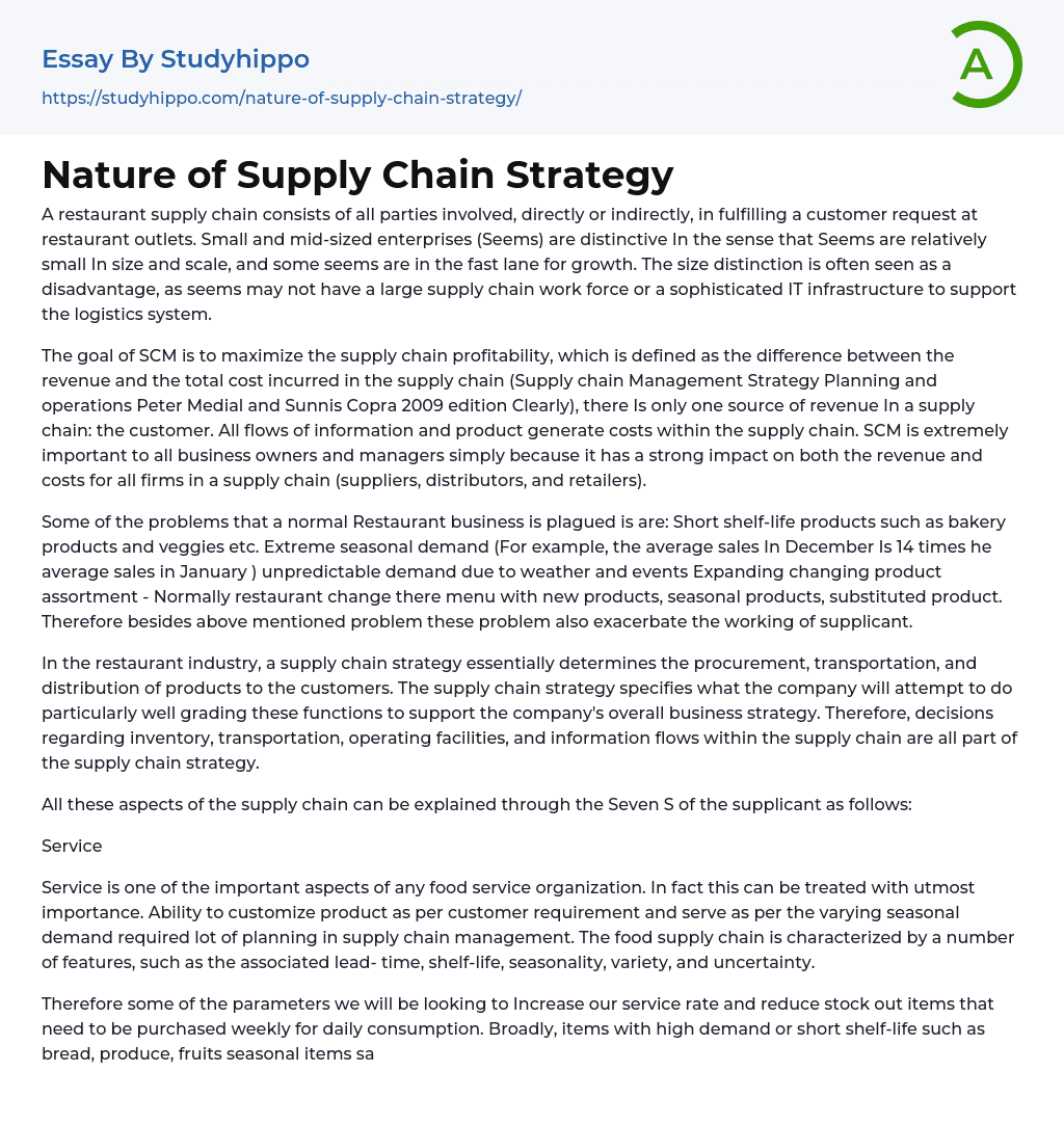 Nature of Supply Chain Strategy Essay Example