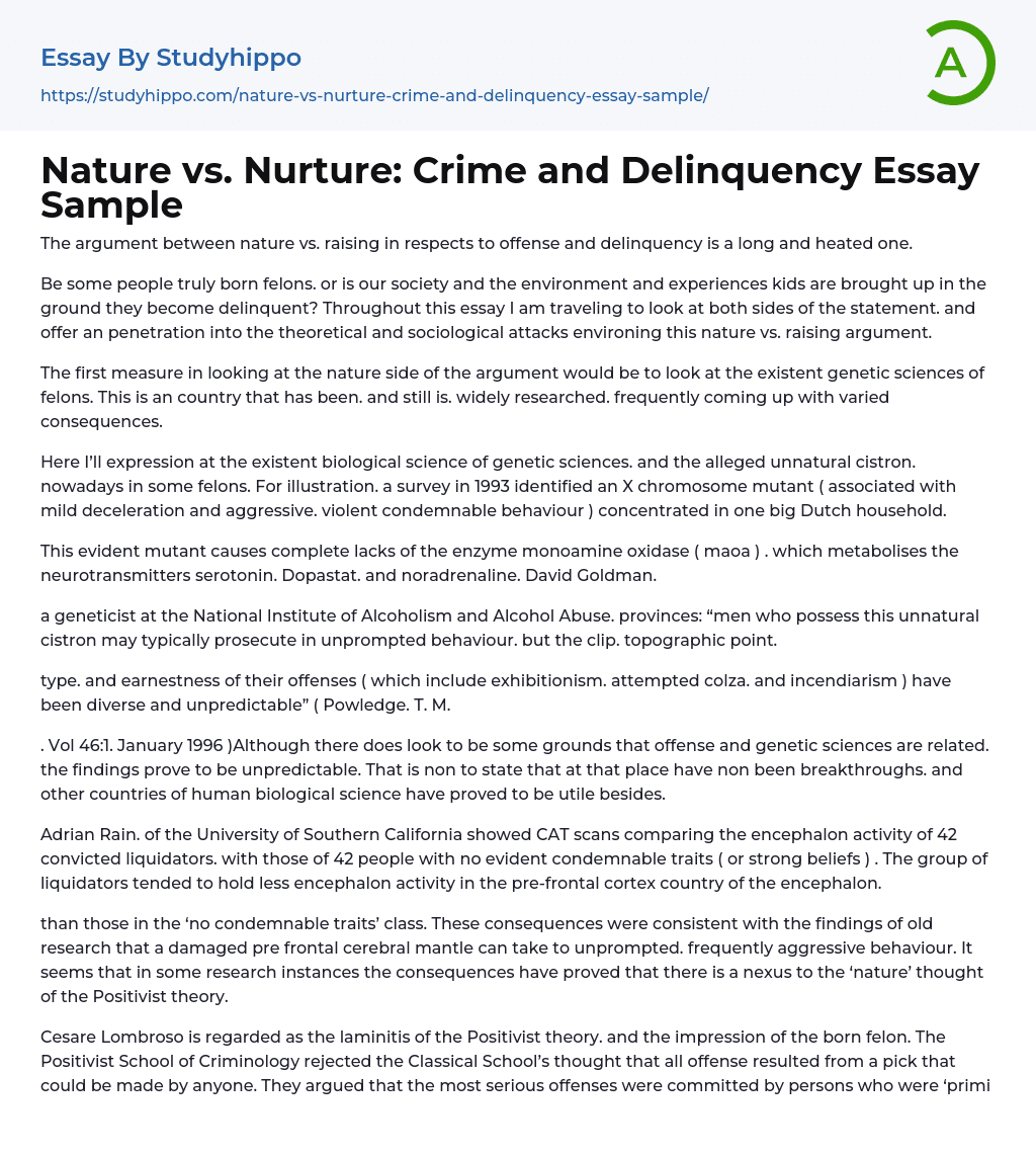 Nature vs. Nurture: Crime and Delinquency Essay Sample
