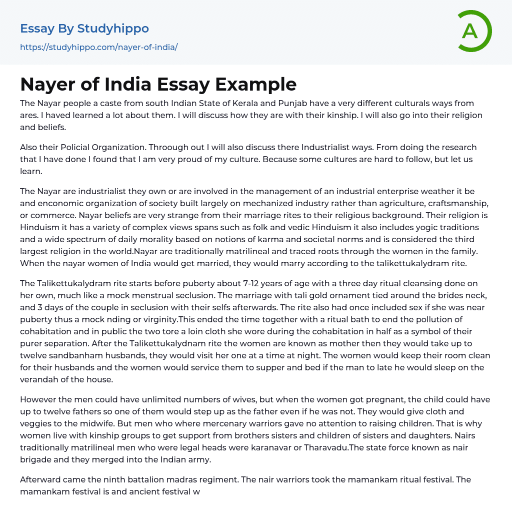 Nayer of India Essay Example