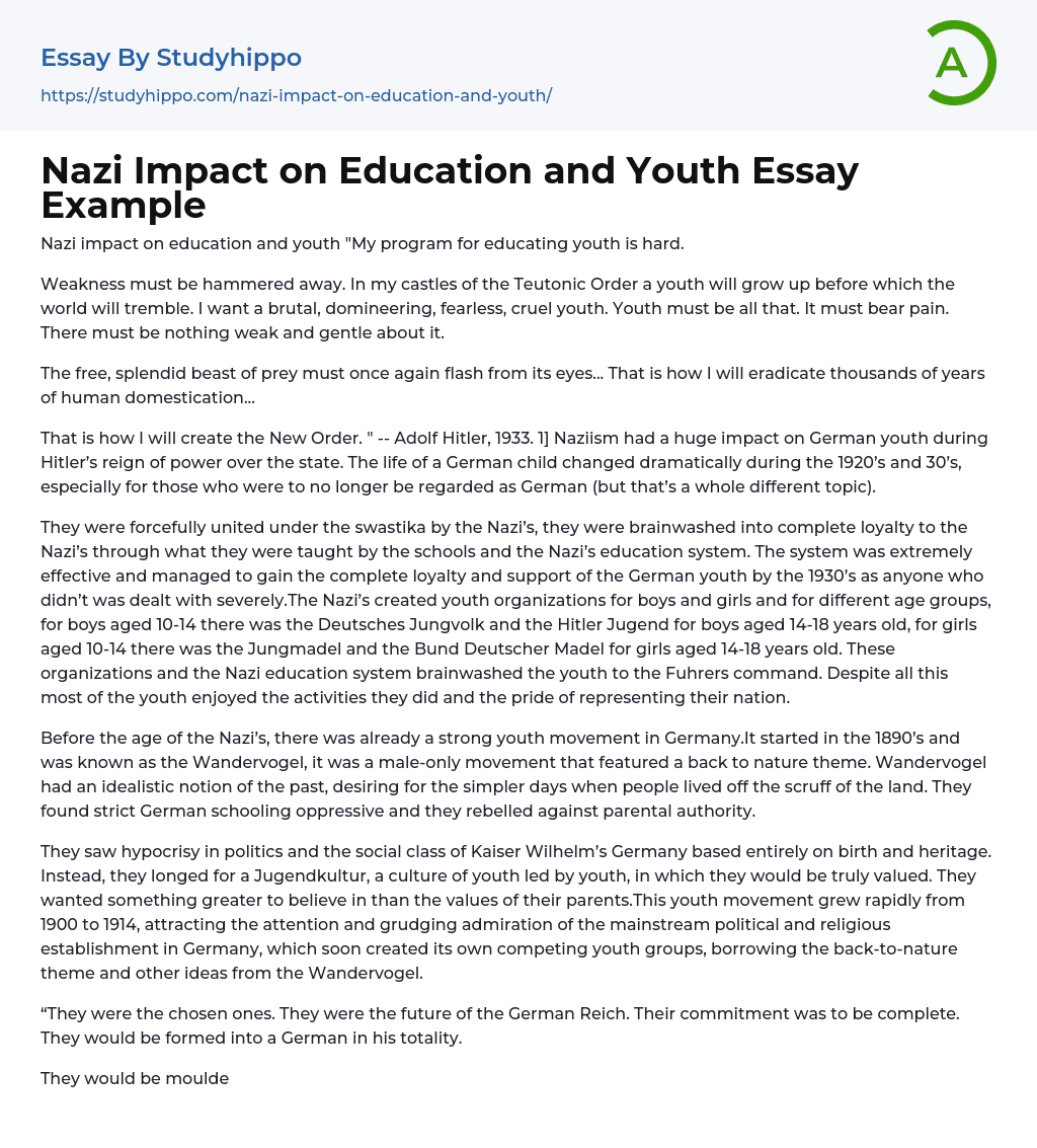 Nazi Impact on Education and Youth Essay Example