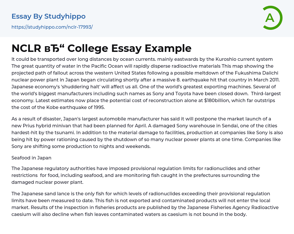 NCLR College Essay Example